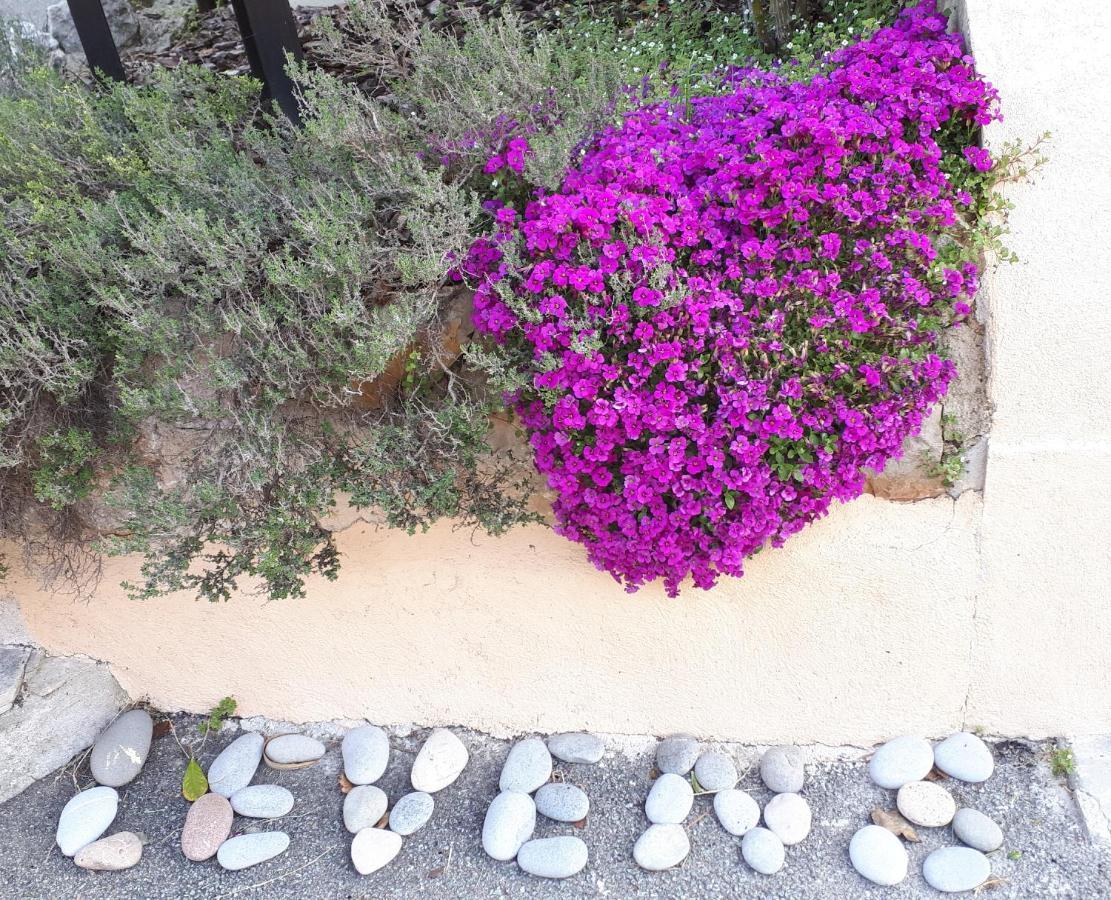Saint-Blaise  Lou Mas Dau Paigran Bed & Breakfast エクステリア 写真