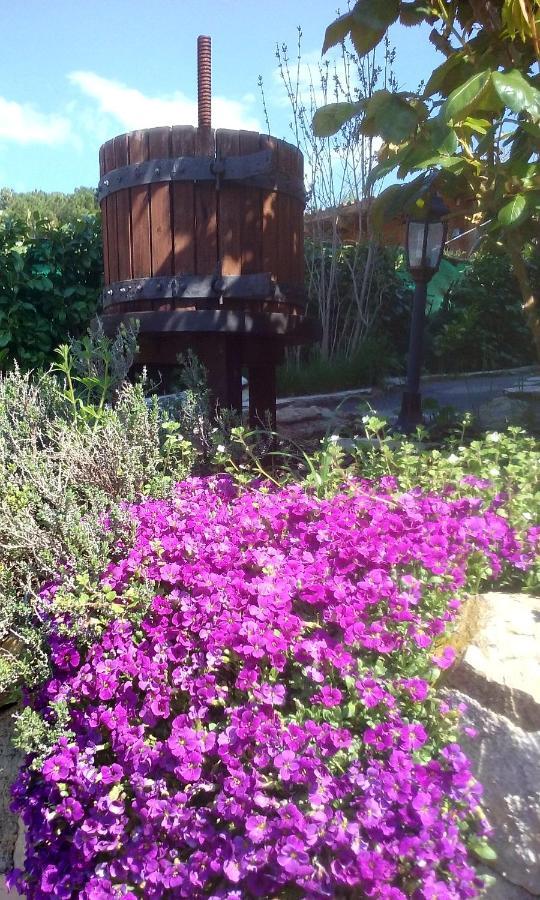 Saint-Blaise  Lou Mas Dau Paigran Bed & Breakfast エクステリア 写真